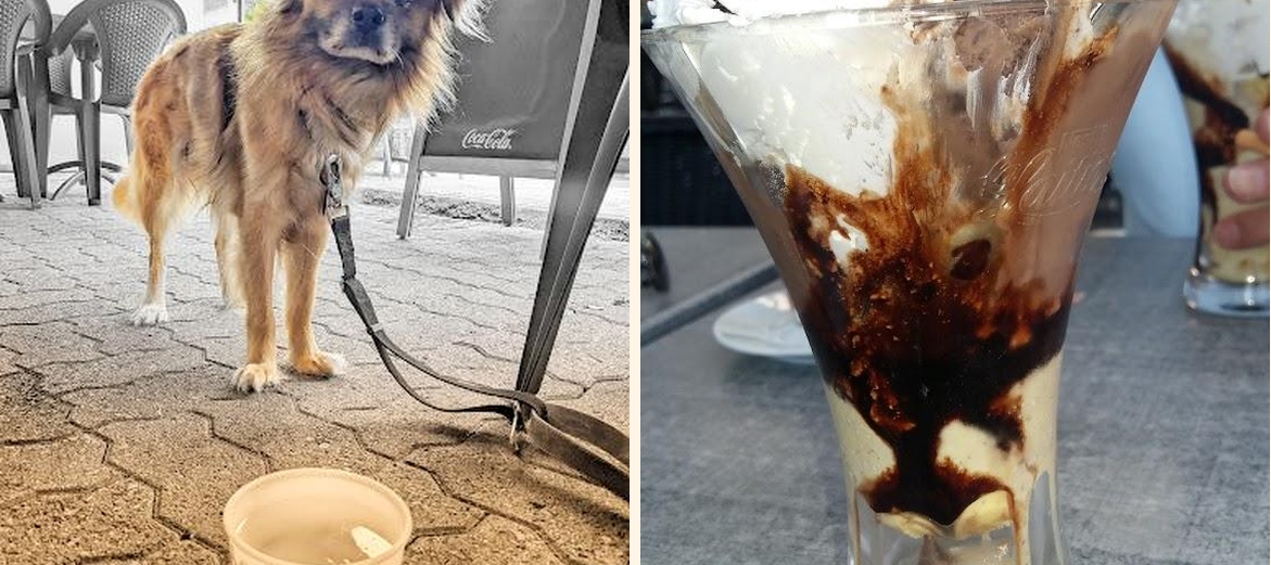 Café de la Marine - Gallery Image 1